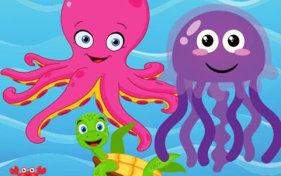 July Take & Make Kits: Sea life